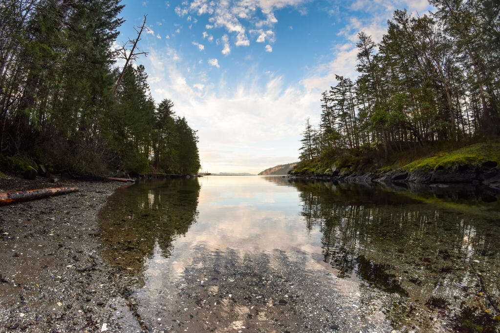 The mouth of the ocean.