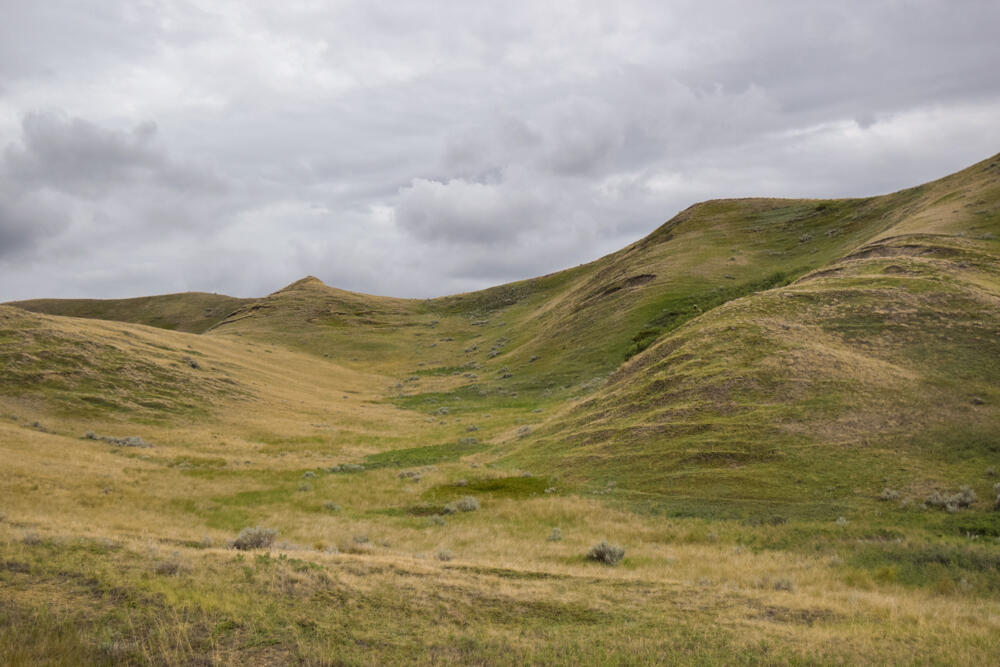 Rolling hills.