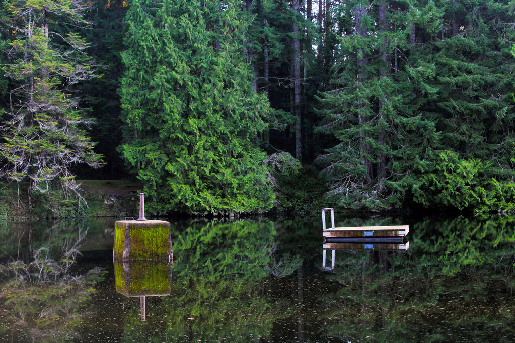 A reflection on a lake.